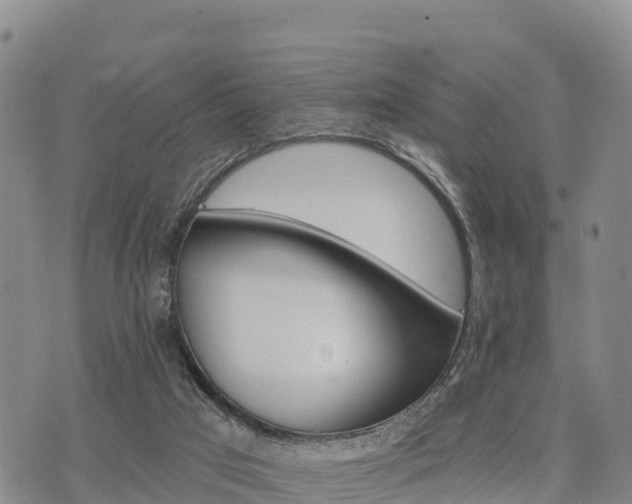 X0000074340017200609011639