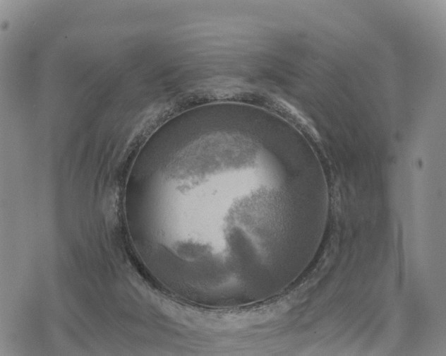 X0000074340018200609011639