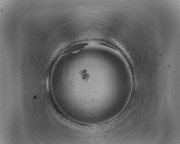 X0000074340019200609011639