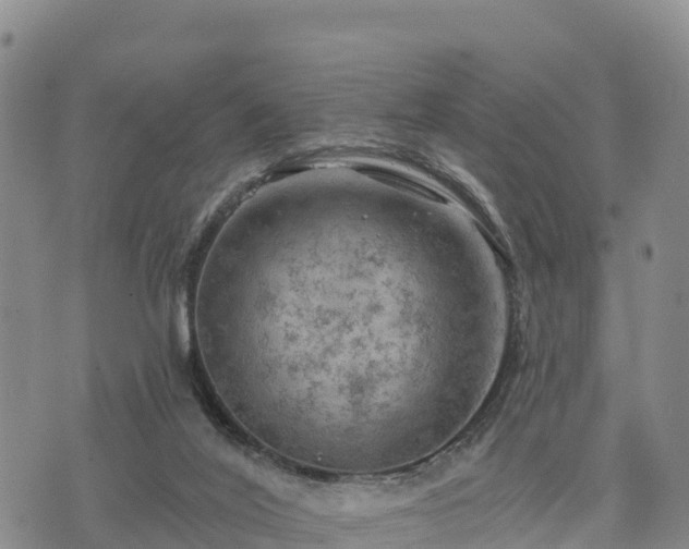 X0000074340020200609011639