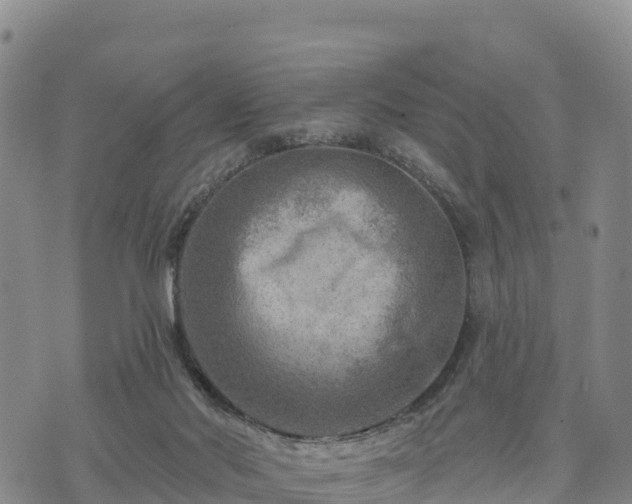 X0000074340022200609011639