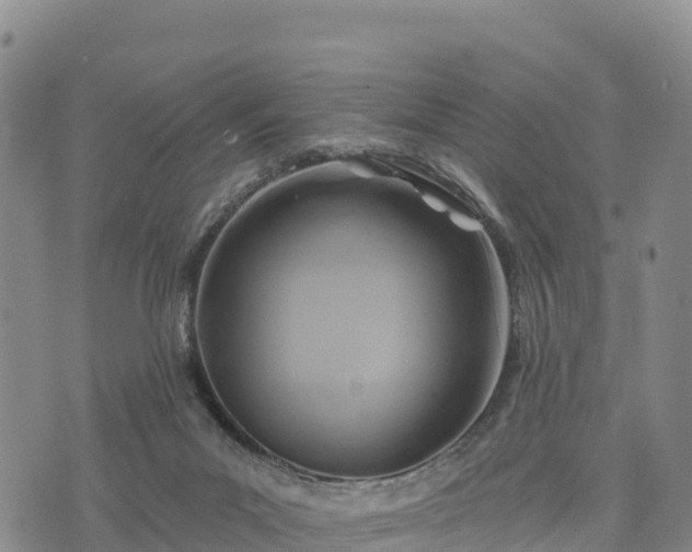 X0000074340023200609011639