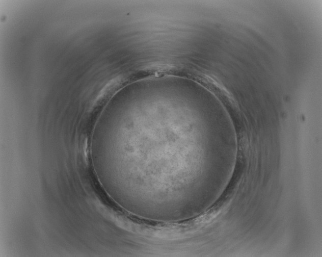 X0000074340024200609011639