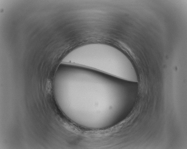 X0000074340025200609011639