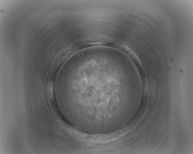 X0000074340026200609011639