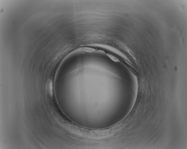 X0000074340027200609011639