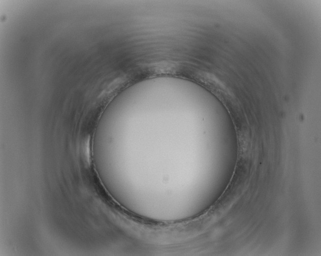 X0000074340028200609011639