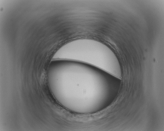 X0000074340029200609011639