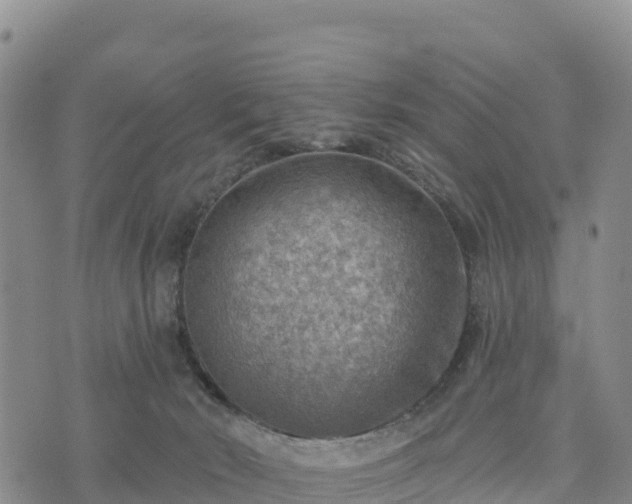 X0000074340030200609011639