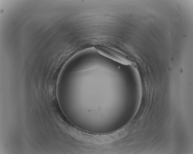 X0000074340031200609011639