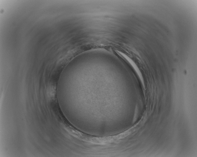 X0000074340033200609011639