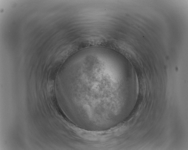 X0000074340034200609011639