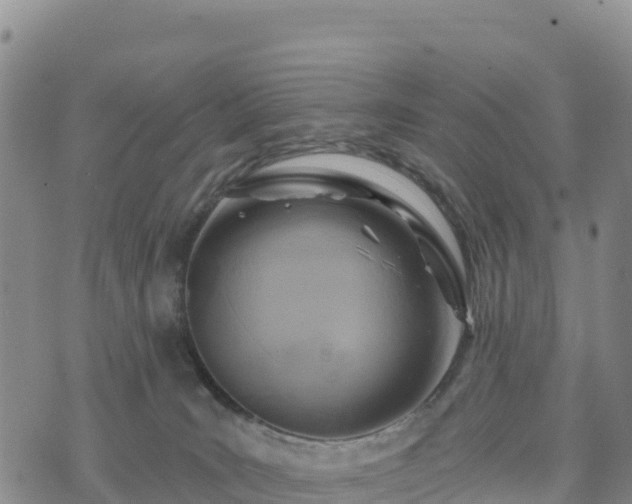 X0000074340035200609011639