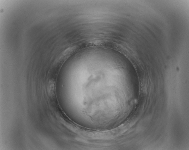 X0000074340036200609011639