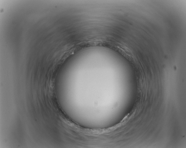 X0000074340037200609011639