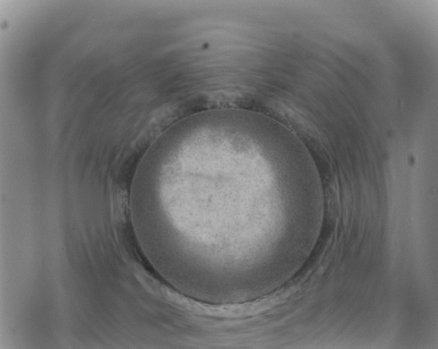 X0000074340038200609011639