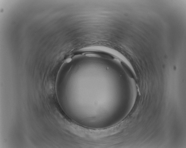 X0000074340039200609011639