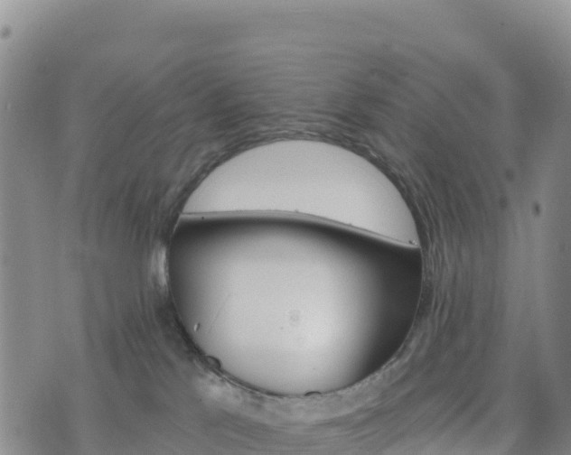 X0000074340041200609011639