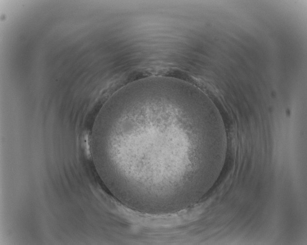 X0000074340042200609011639