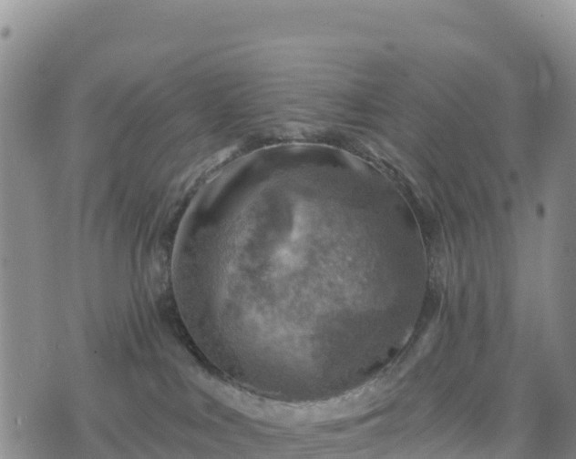 X0000074340043200609011639