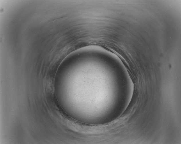 X0000074340044200609011639