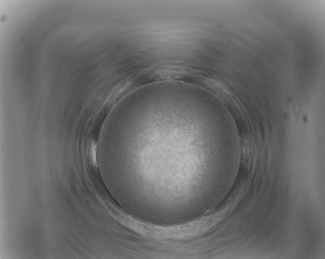 X0000074340046200609011639