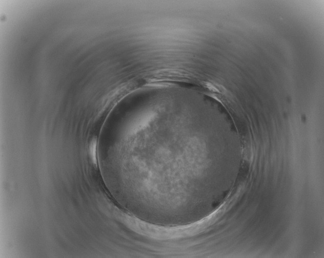 X0000074340047200609011639