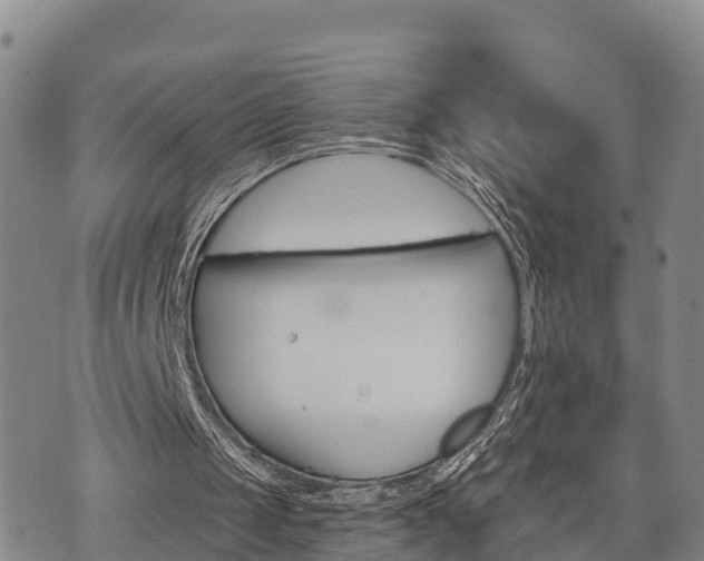 X0000074340049200609011638