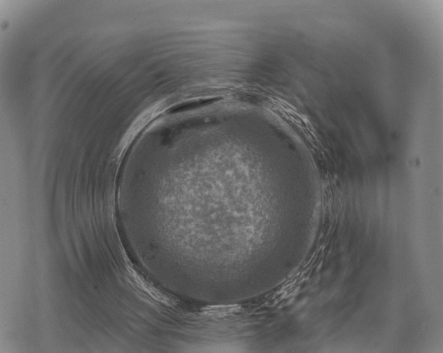 X0000074340051200609011638