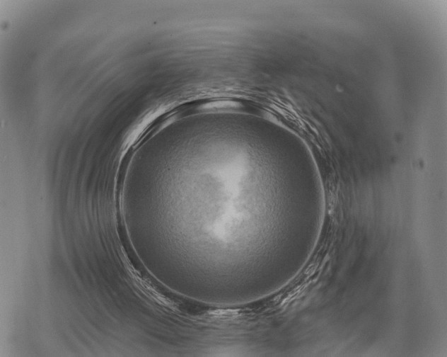 X0000074340052200609011638