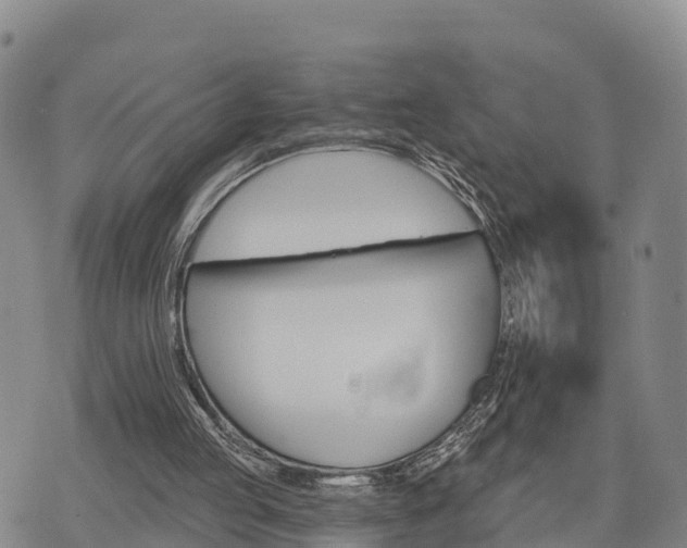 X0000074340053200609011638