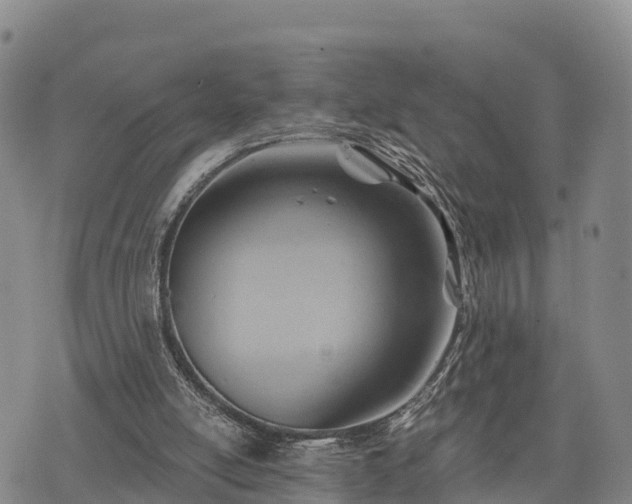 X0000074340054200609011638