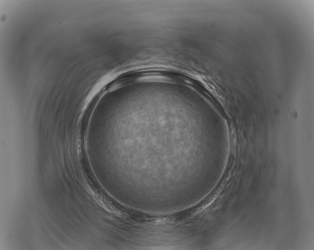 X0000074340056200609011638