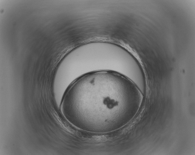 X0000074340057200609011638