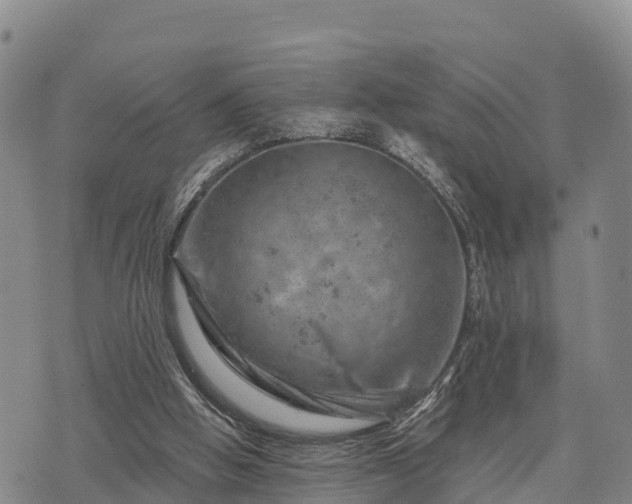 X0000074340058200609011638