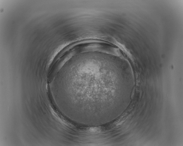 X0000074340060200609011638