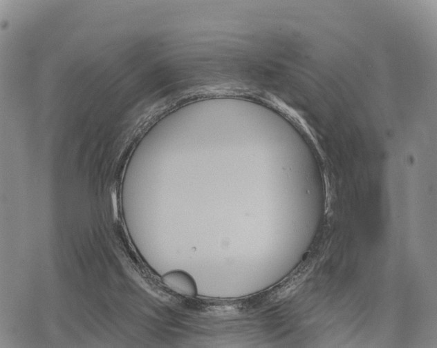 X0000074340061200609011638