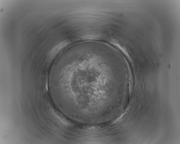 X0000074340062200609011638