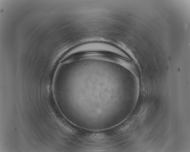 X0000074340063200609011638