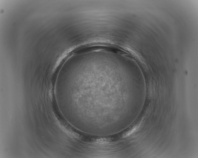 X0000074340064200609011638