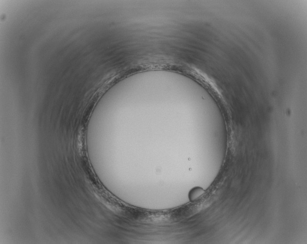 X0000074340065200609011638