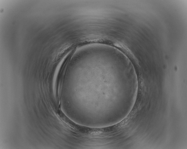 X0000074340066200609011638