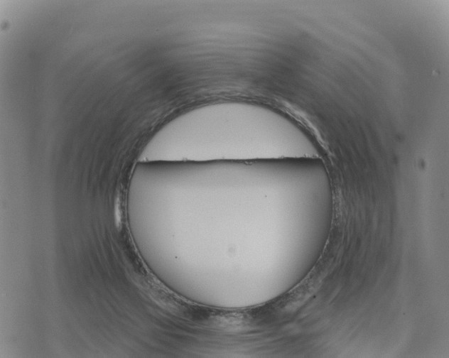 X0000074340069200609011638