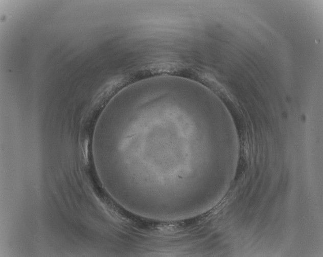 X0000074340070200609011638