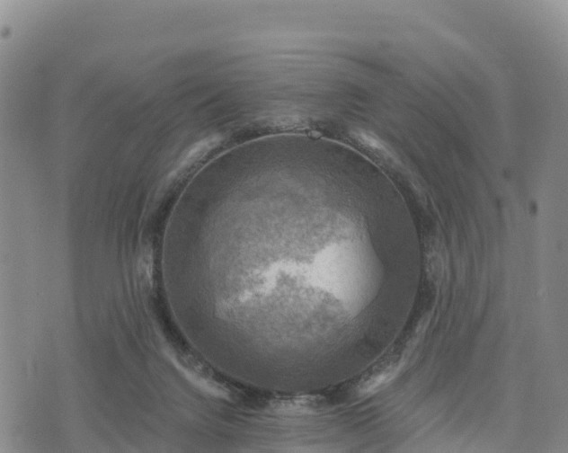 X0000074340072200609011638