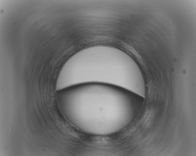 X0000074340073200609011638