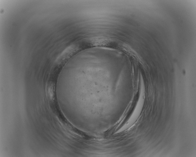 X0000074340074200609011638