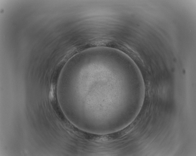 X0000074340075200609011638