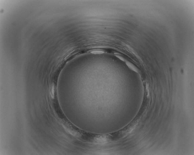 X0000074340076200609011638