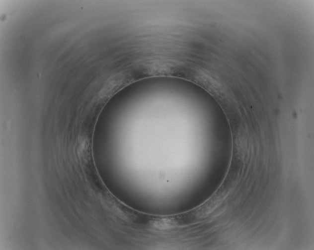 X0000074340079200609011638